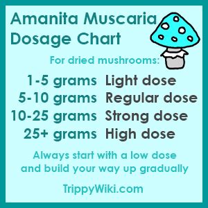 <b>Amanita Muscaria: Dosage</b> For a first experience, 5 grams or less are an appropriate <b>dose</b> - from there one can gradually increase the <b>dose</b> until the desired effect is reached. . Amanita muscaria dosage